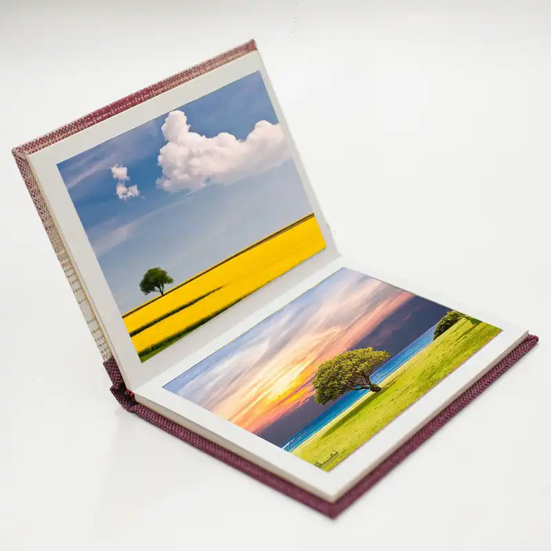 آلبوم عکس مدل 2001