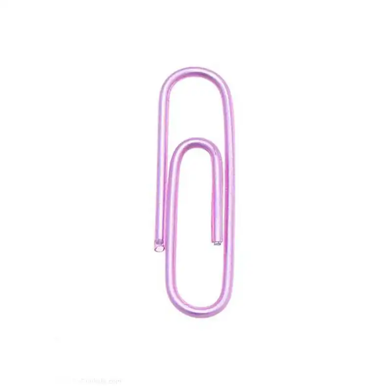 گیره کاغذ پنتر کد 40089 بسته 100 عددی