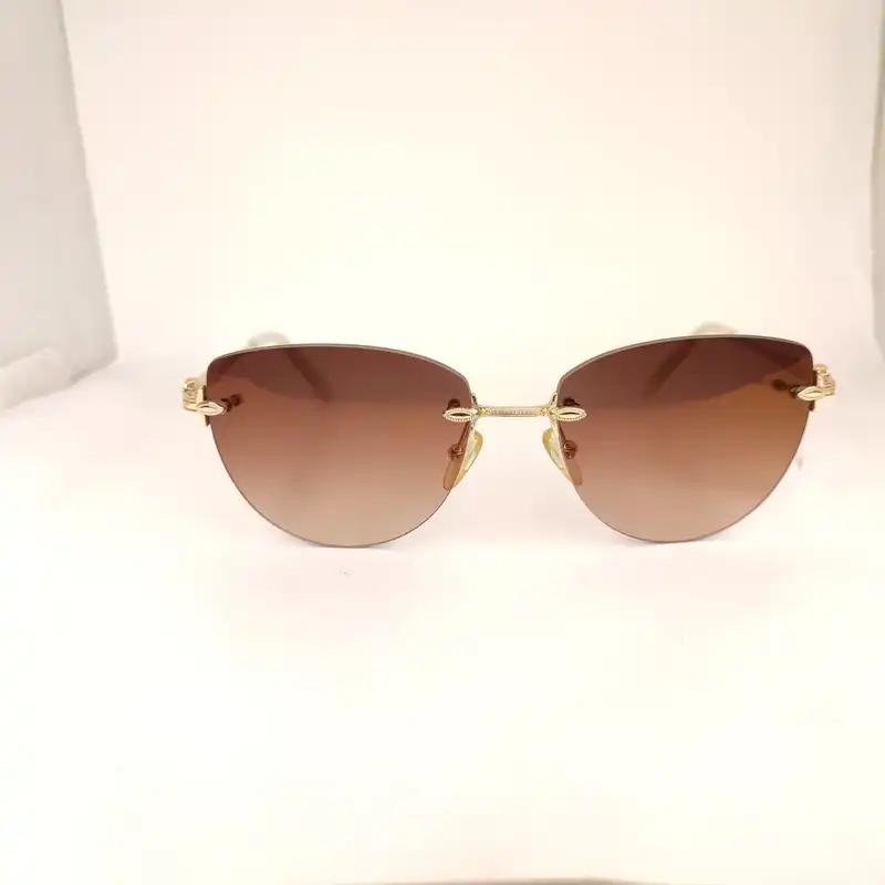 عینک آفتابی زنانه لانیا روما مدل LR3587