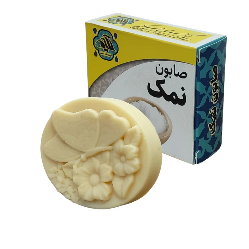 صابون شستشو گیاهستان حکیم مدل نمک وزن 70 گرم بسته 10 عددی