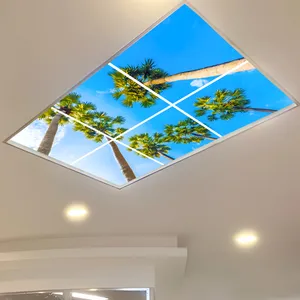 تایل سقفی آسمان مجازی مدل SK-430-2x3 سایز 60x60 مجموعه شش عددی