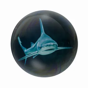 مگنت عرش طرح فانتزی کوسه کد Asm3983