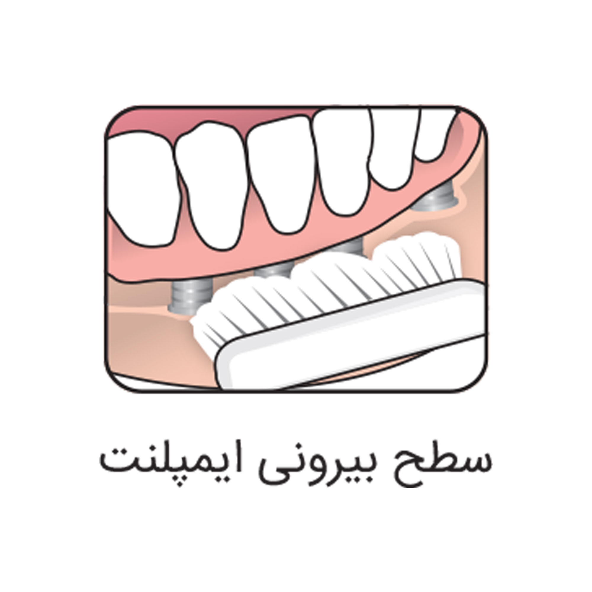 مسواک تهپه مدل IMPLANT ORTHO با برس متوسط به همراه مسواک بين دندانی تهپه مدل 001 مسواک تهپه مدل IMPLANT ORTHO با برس متوسط به همراه مسواک بين دندانی تهپه مدل 001