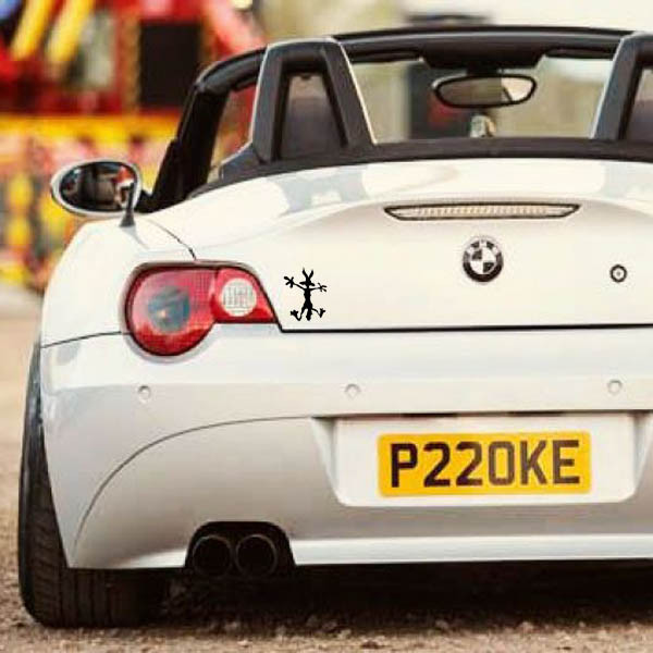 برچسب بدنه خودرو کد CUT427