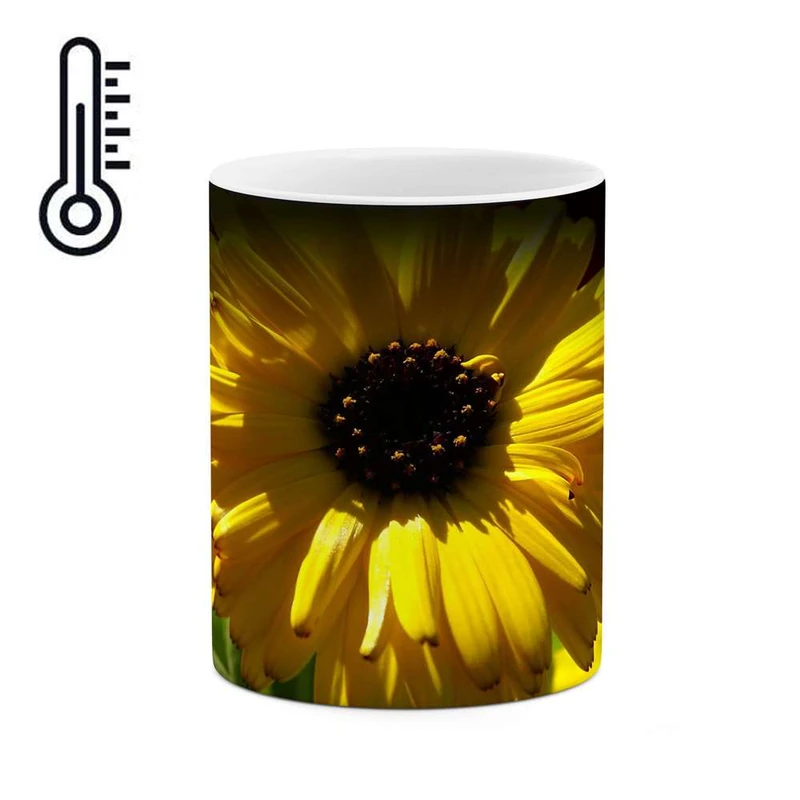 ماگ حرارتی کاکتی مدل گل کد mgh12034