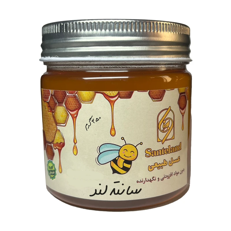 عسل طبیعی گل های کوهستانی سانته‌لند - 350 گرم