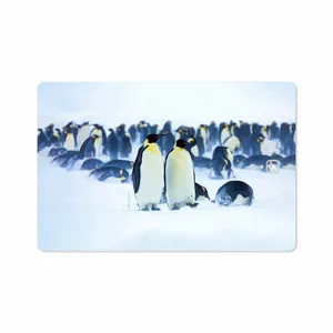 MAHOOT Penguin Cover Sticker for Samsung Galaxy Tab S4 10.5 2018 T835