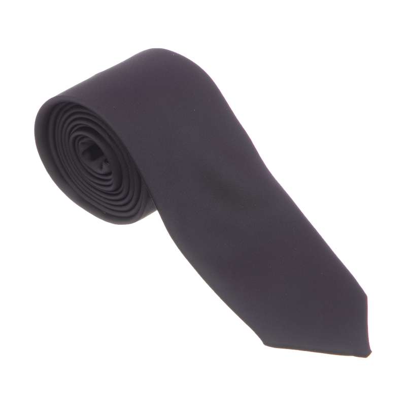 کراوات مردانه پاترون مدل 1723289