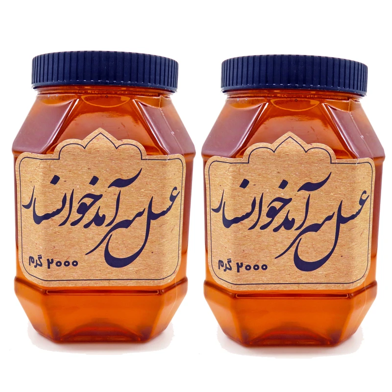 عسل طبیعی سرآمد چند گیاه - 2 کیلوگرم بسته 2 عددی