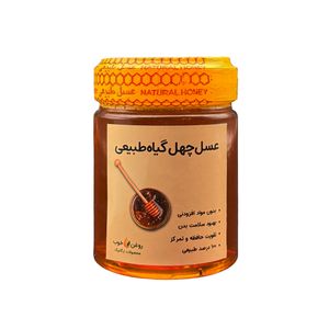 عسل طبیعی چهل گیاه روغن خوب - 500 گرم