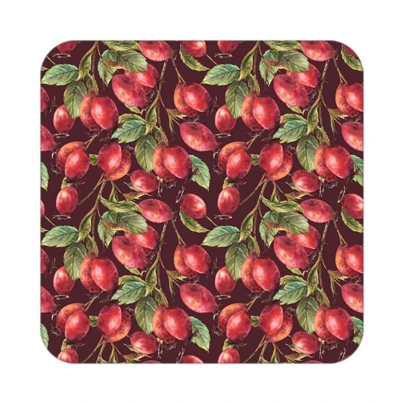 زیر لیوانی کاکتی طرح میوه مدل mp20004