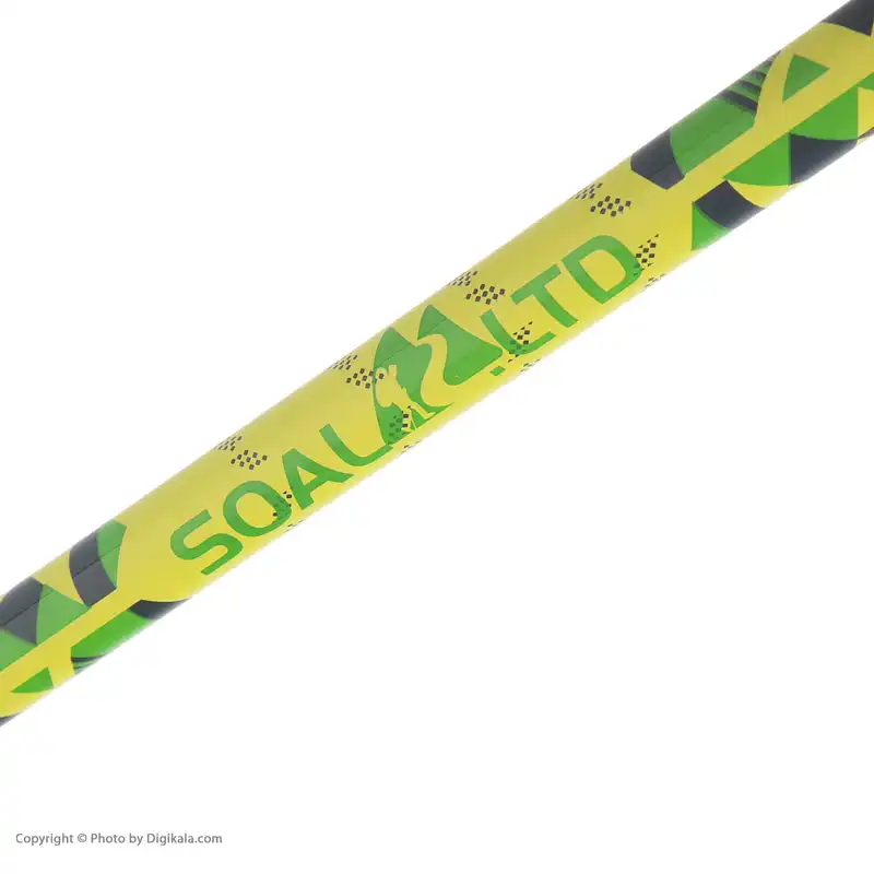 عصای کوهنوردی مدل LTD