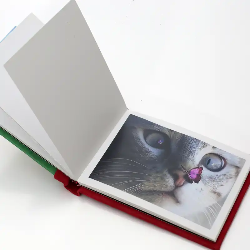 آلبوم خاطرات کودک مدل سگهای نگهبان کد 22