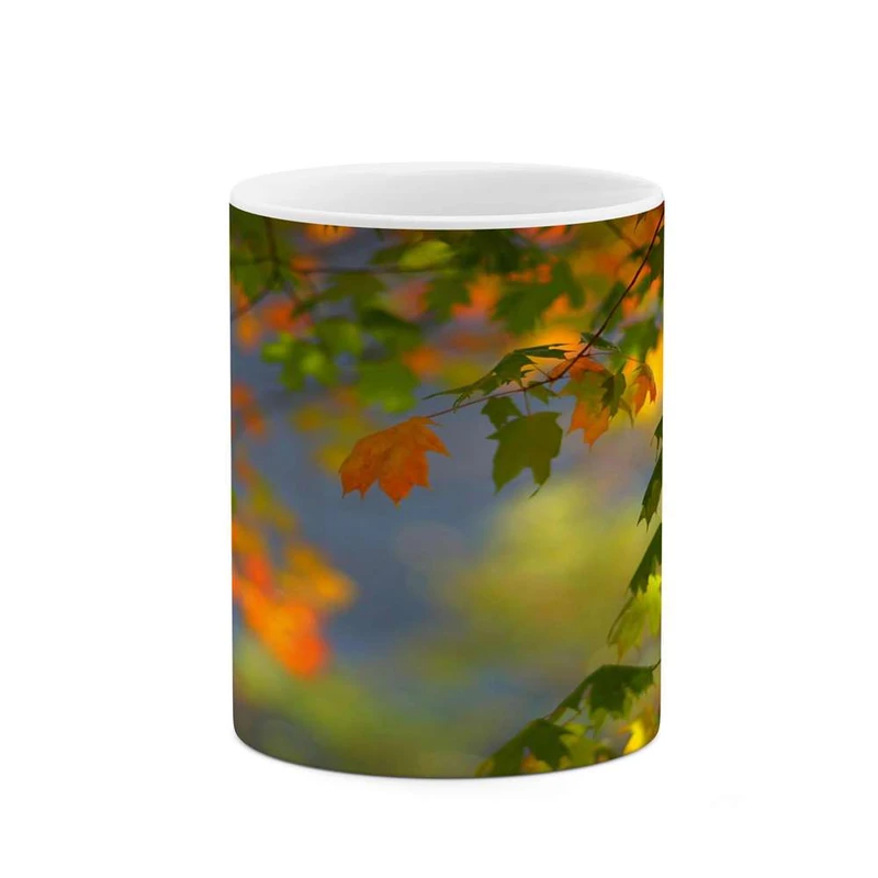 ماگ کاکتی مدل منظره کد mgh16207