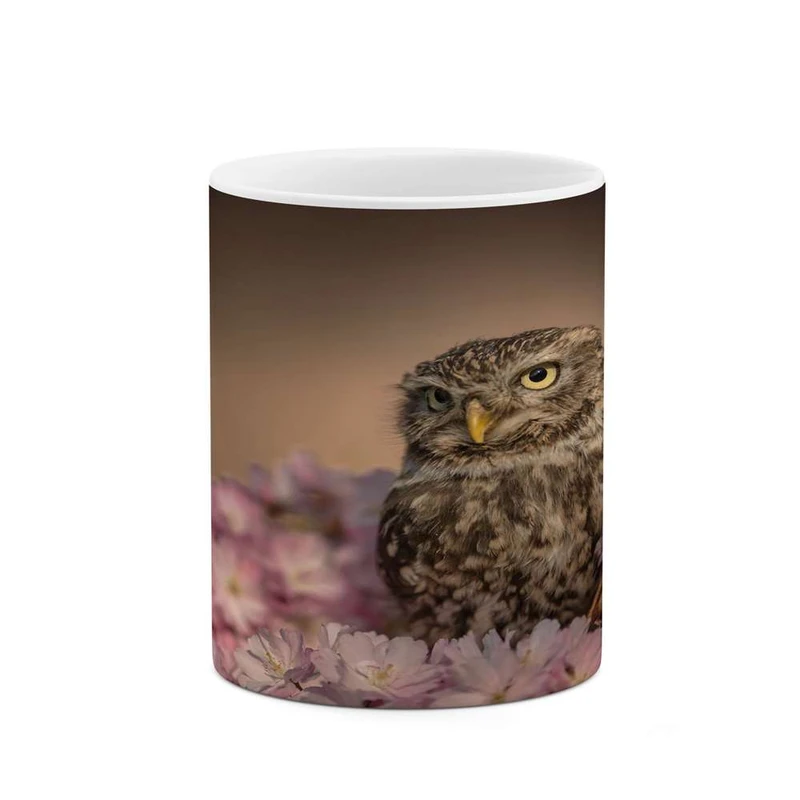 ماگ کاکتی مدل جغد کد mgh16251