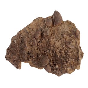سنگ راف مدل فسیل نولومیت کد RS1468
