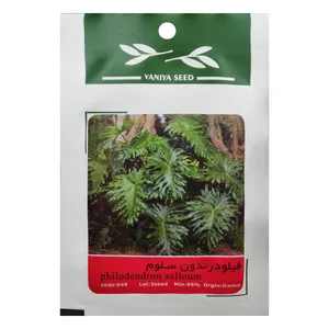 بذر فیلودرندون سلوم وانیا سید مدل V49