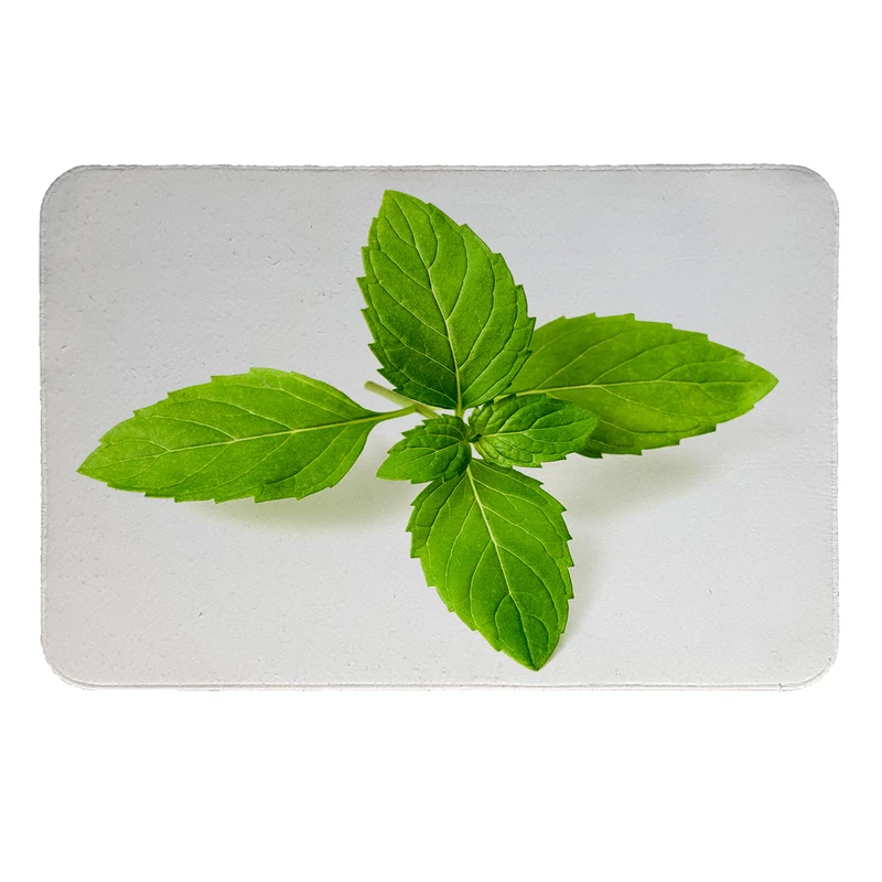 پادری طرح نعنا کد 6305 سایز 110 × 80 سانتی متر