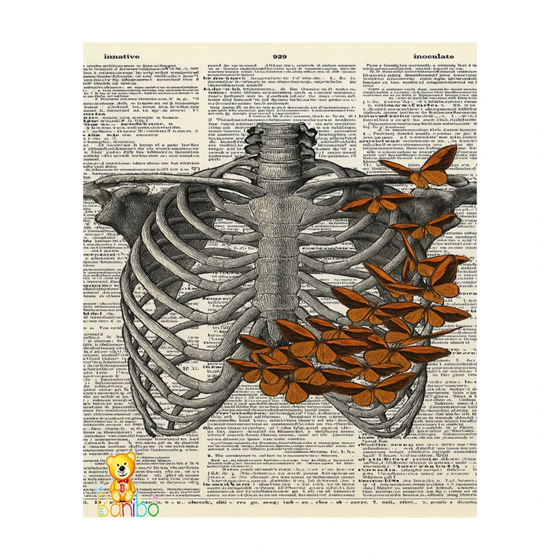 تابلو شاسی بانیبو طرح قفسه سینه کد 226