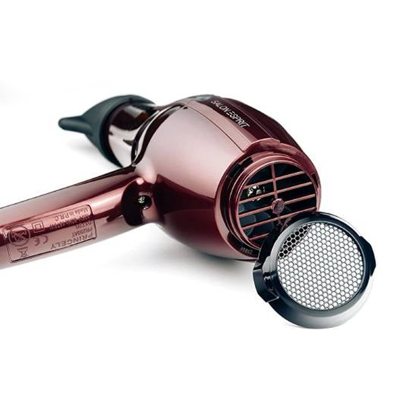 سشوار حرفه ای پرنسلی مدل PR250AT