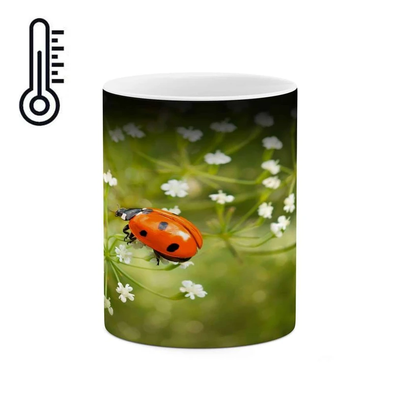 ماگ حرارتی کاکتی مدل کفشدوزک کد mgh14461