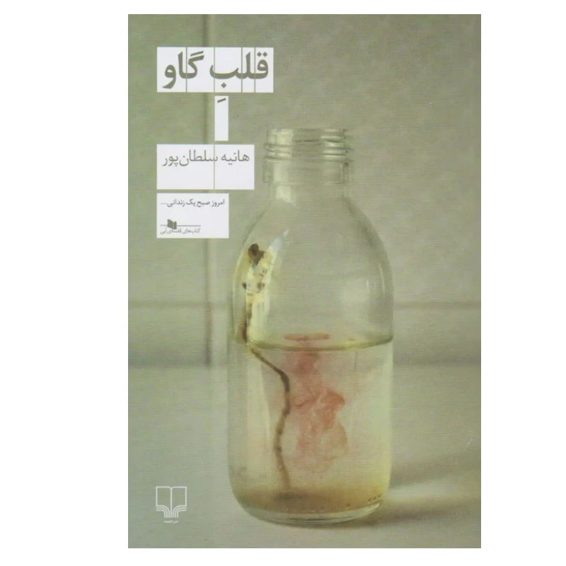 کتاب قلب گاو اثر هانیه سلطان‌پور نشر چشمه