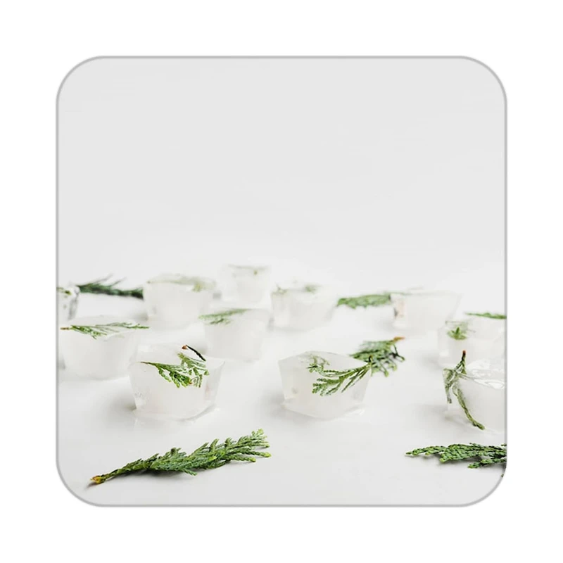 زیر لیوانی کاکتی طرح گل مدل mp16995