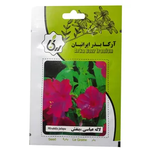 بذر گل لاله عباسی بنفش آرکابذرایرانیان کد A25