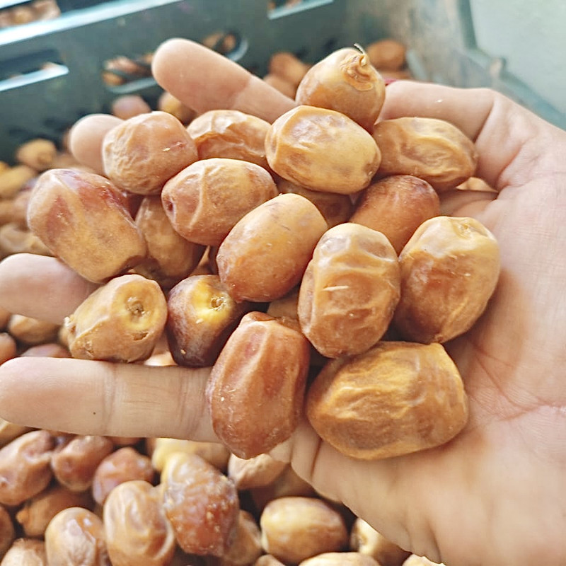 خرما زاهدی نخلین - ۱۰۰۰ گرم 