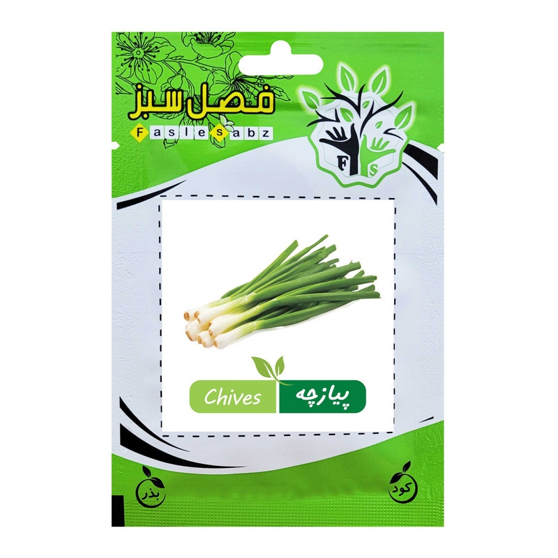 بذر پیازچه فصل سبز کد SEED-006