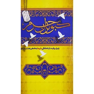 کبوتران حرم چهل روایت از دلدادگی شهدا به امام رضا اثر جمعی از نویسندگان انتشارات شهید ابراهیم هادی