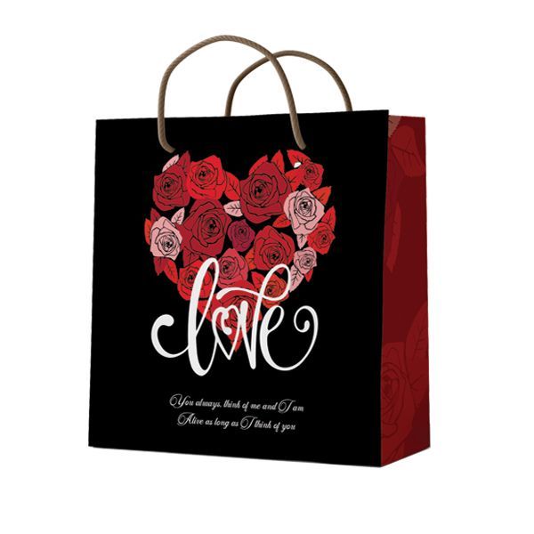 ساک دستی مدل 10130 بسته 12 عددی