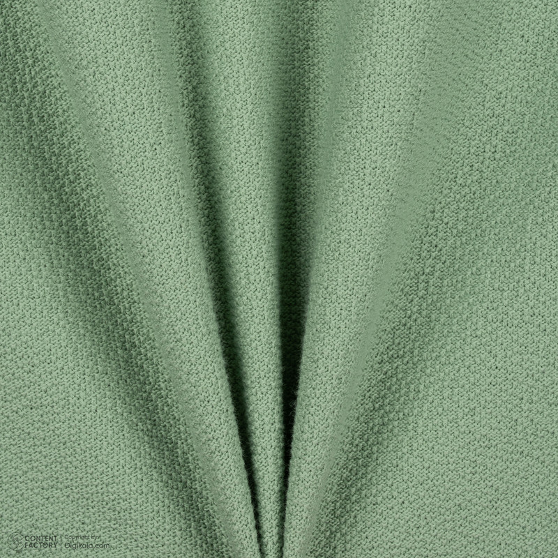 بلوز آستین بلند زنانه آر اِن اِس مدل 11032264 رنگ سبز