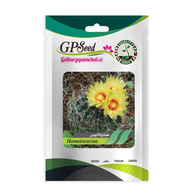 بذر هماتو کاکتوس گلبرگ پامچال کد GPF-192