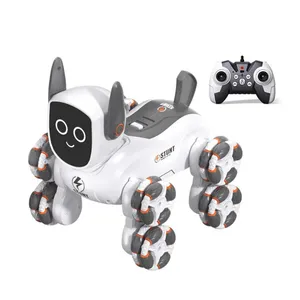 ربات کنترلی مدل رلیش