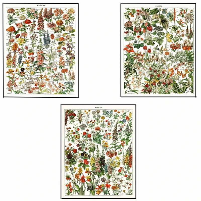 پوستر مدل گل رترو مجموعه 3 عددی