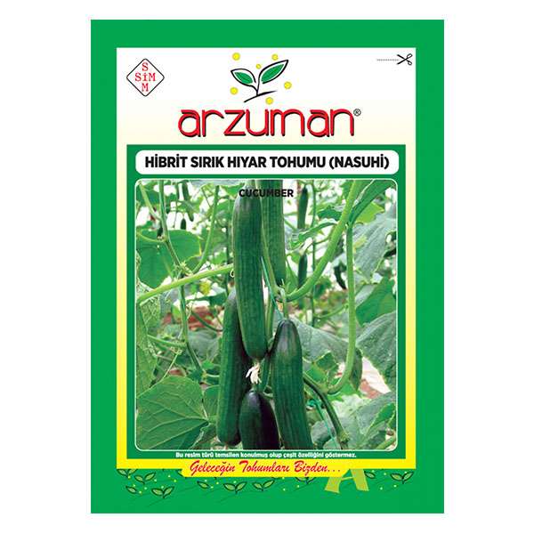 بذر خیار گلخانه ای آرزومان کد 11594