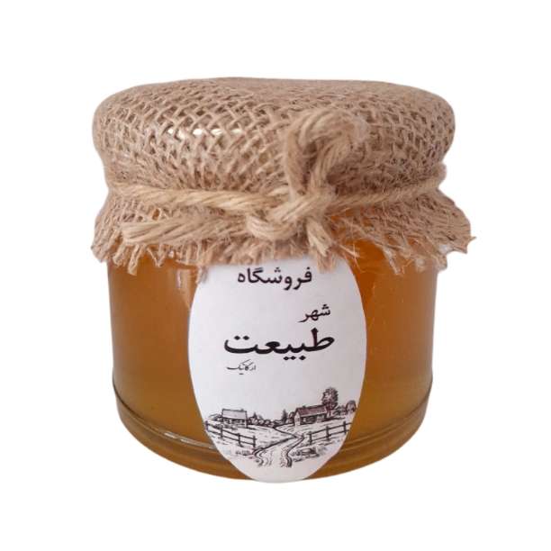 عسل گشنیز ارگانیک -400 گرم