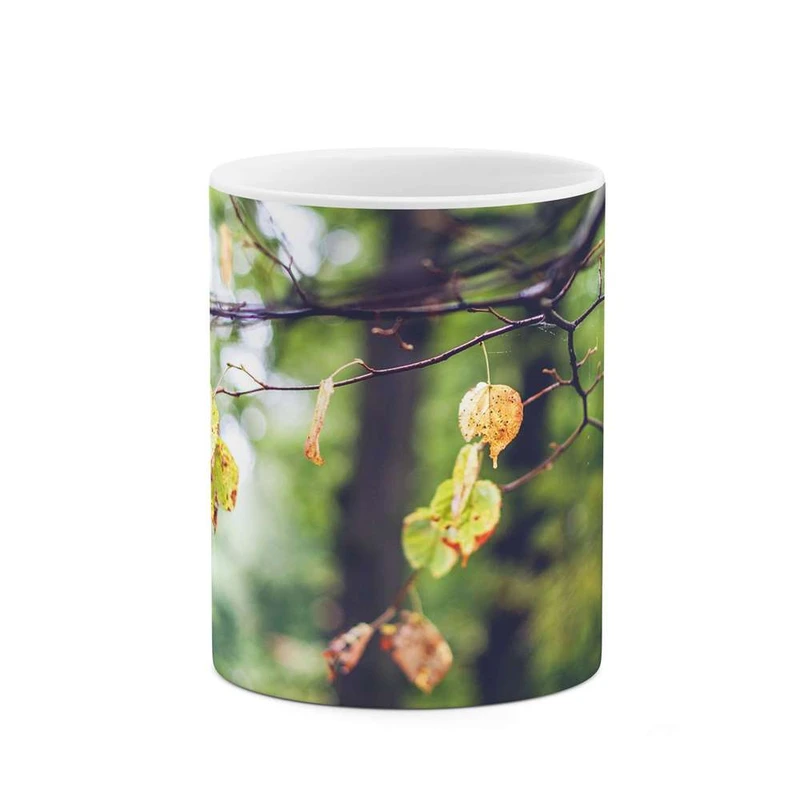 ماگ کاکتی مدل برگ پاییزی کد mgh11233