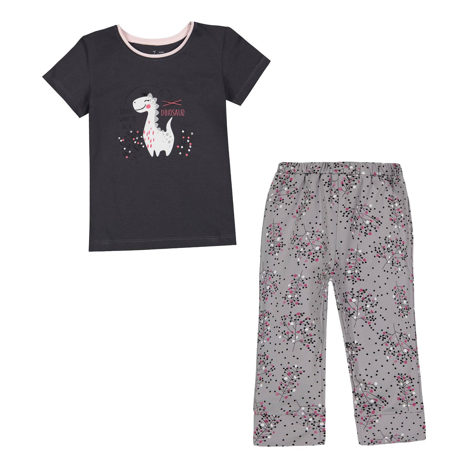 ست تی شرت و شلوار دخترانه ناربن مدل دایناسور رنگ طوسی - - 2