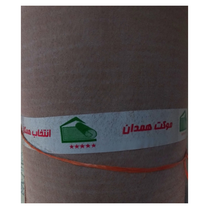 موکت همدان مدل پارکتی کد m19
