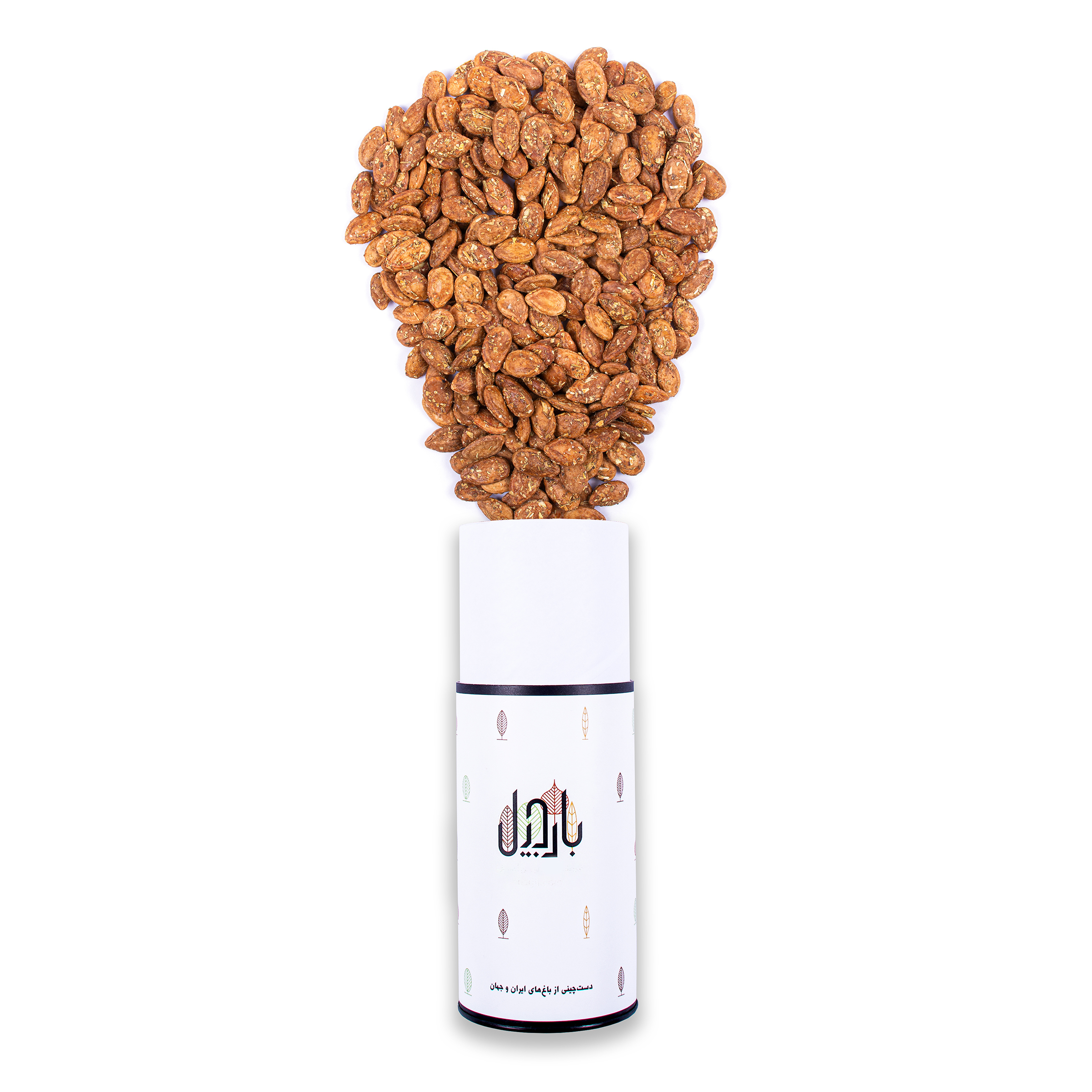 تخمه جابانی برشته گلپری - 250 گرم