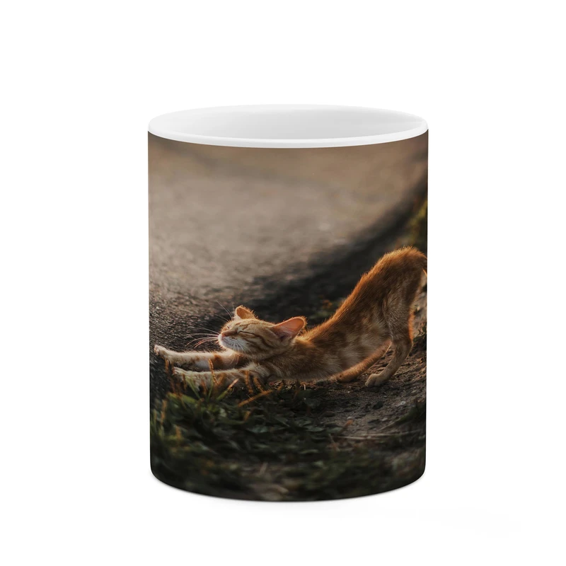 ماگ کاکتی مدل گربه کد mgh17354