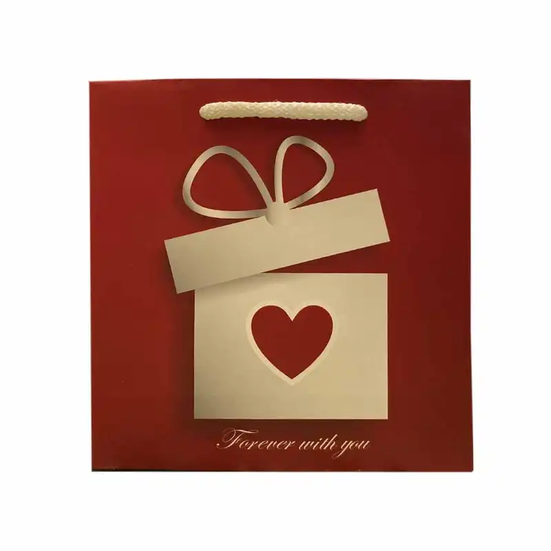 ساک هدیه مدل 2020801