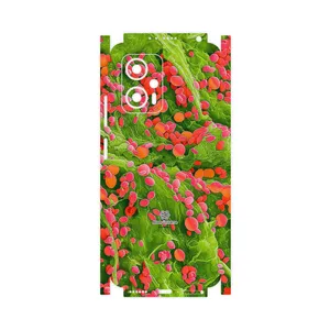 MAHOOT Atom Universe 3-FullSkin Cover Sticker for Xiaomi Poco X4 GT