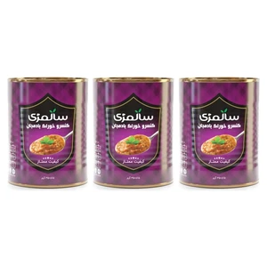 کنسرو خوراک بادمجان سالمزی - 350 گرم بسته 3 عددی