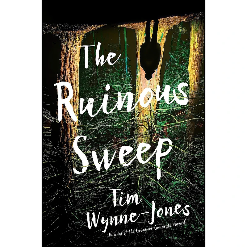 کتاب The Ruinous Sweep اثر Tim Wynne-Jones انتشارات Candlewick