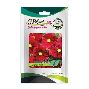 بذر گل ستاره ای قرمز گلبرگ پامچال کد GPF-251