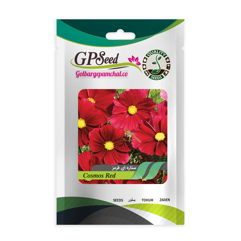 بذر گل ستاره ای رنگارنگ گلدانی گلبرگ پامچال کد G-P-GP-05 مجموعه 5 عددی
