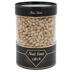سویا آجیلی نات لاین - 430 گرم